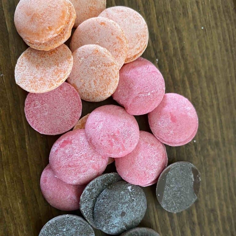 Candy Melts Bobs Bear Bait